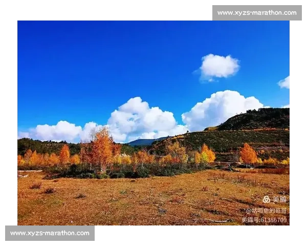 在岁月长河中守望彼此心灵温度的真挚友谊之歌与成长同行在人生路上